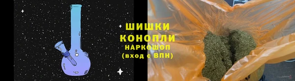 прущие грибы Верхний Тагил
