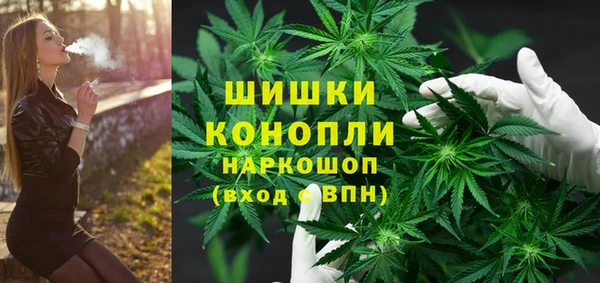 mdpv Волоколамск