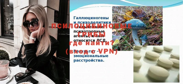 прущие грибы Верхний Тагил