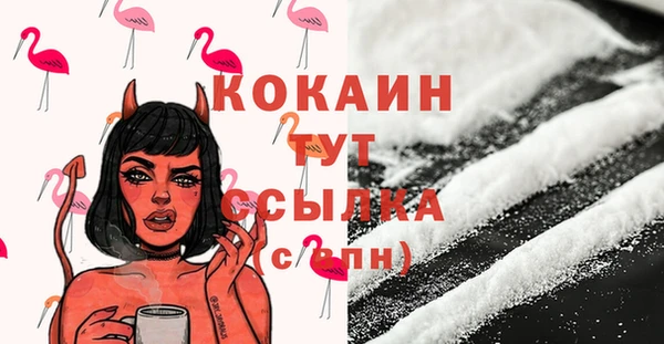 прущие грибы Верхний Тагил