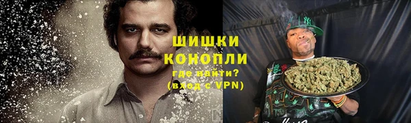 mdpv Волоколамск